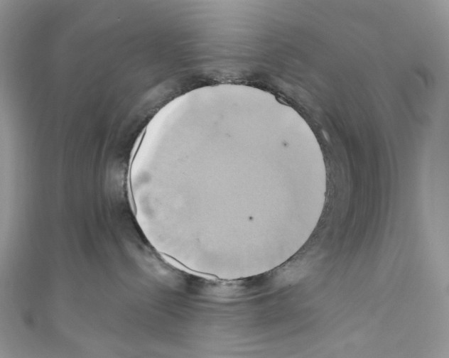 X0000110680288200907241049