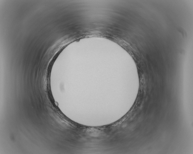 X0000110680290200907241049