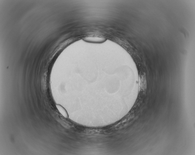 X0000110680291200907241049