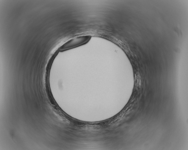 X0000110680292200907241049