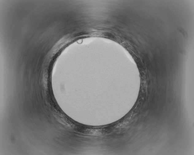 X0000110680295200907241049