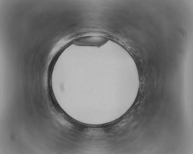 X0000110680296200907241049
