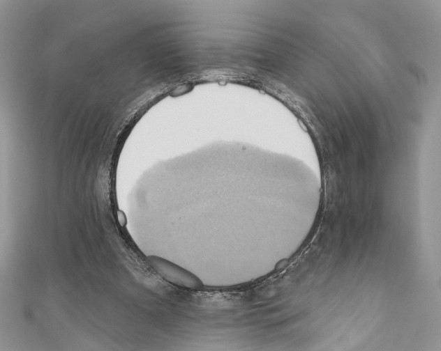 X0000110680297200907241049
