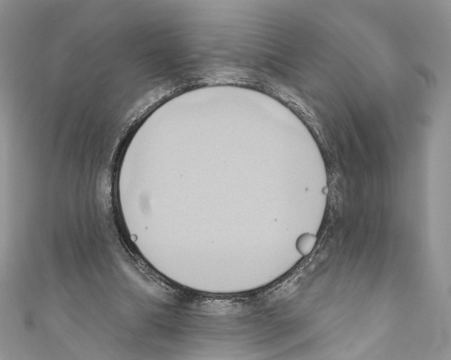 X0000110680298200907241049