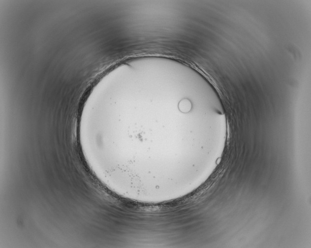 X0000110680301200907241049