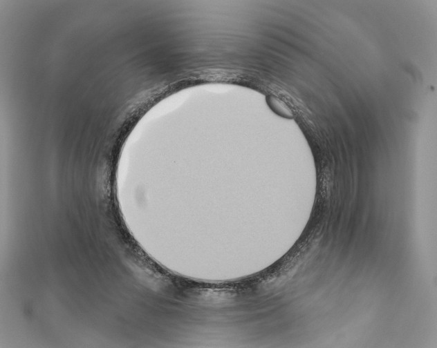 X0000110680303200907241049