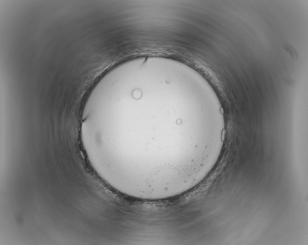 X0000110680305200907241049