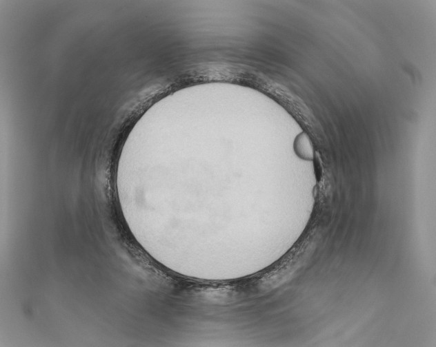 X0000110680306200907241049