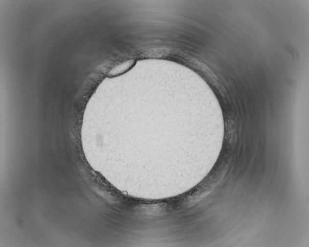 X0000110680307200907241049