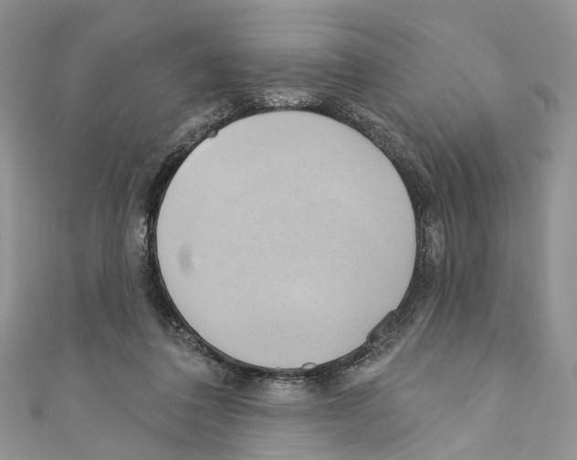 X0000110680308200907241049