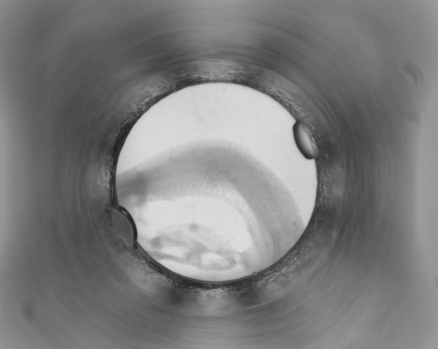 X0000110680309200907241049