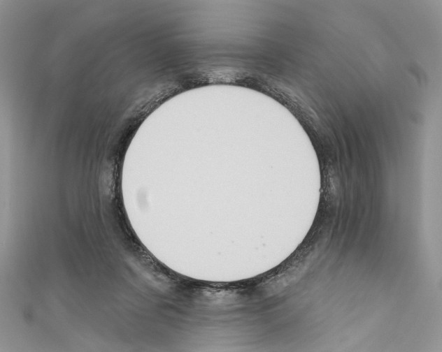 X0000110680311200907241049