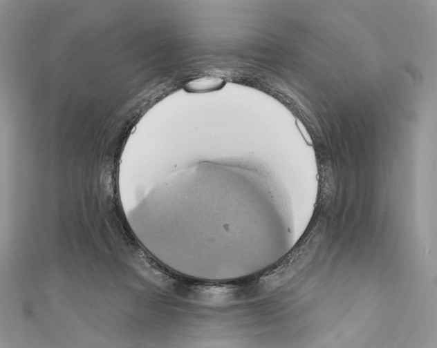X0000110680313200907241049