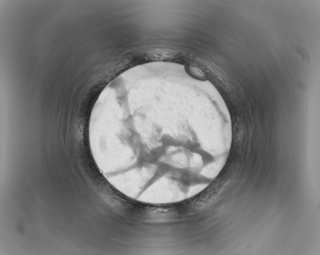 X0000110680315200907241049