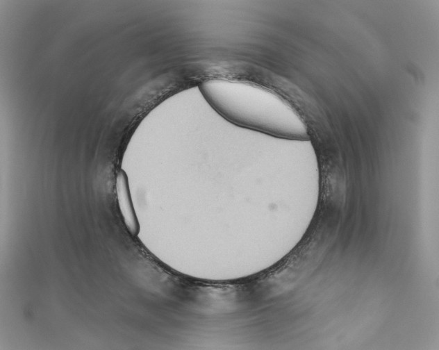 X0000110680317200907241049
