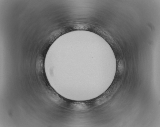 X0000110680322200907241048