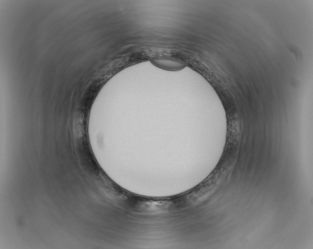 X0000110680323200907241048