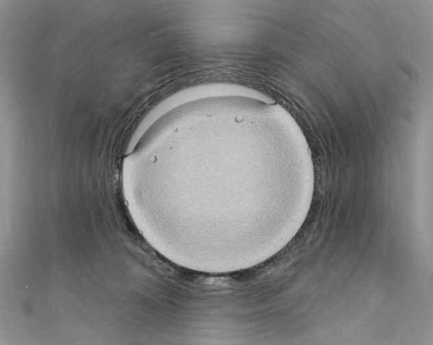 X0000110680324200907241048