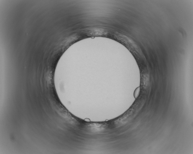 X0000110680326200907241048