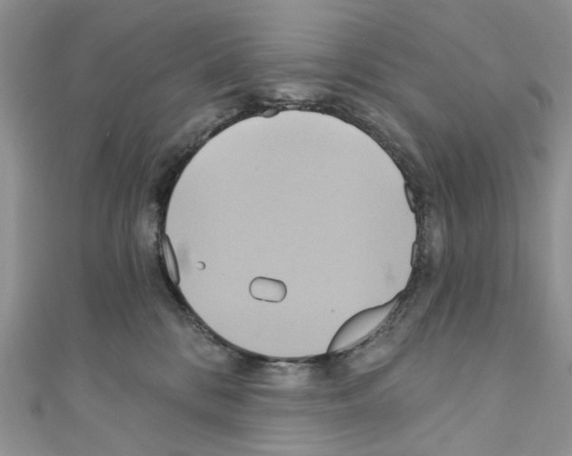 X0000110680328200907241048