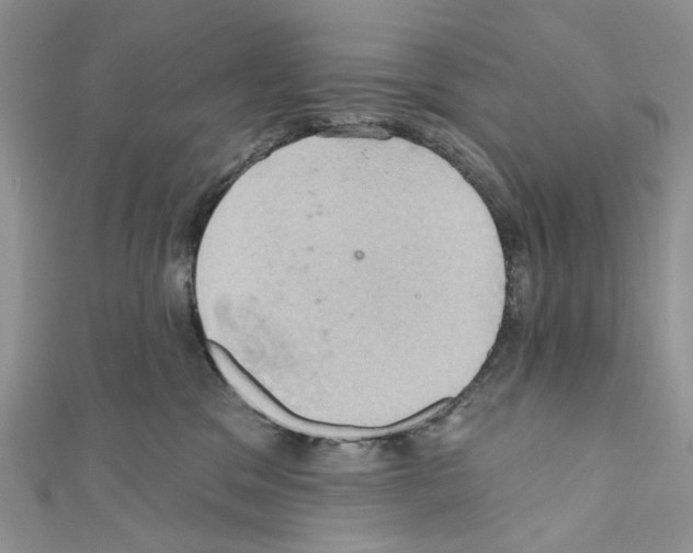 X0000110680329200907241048