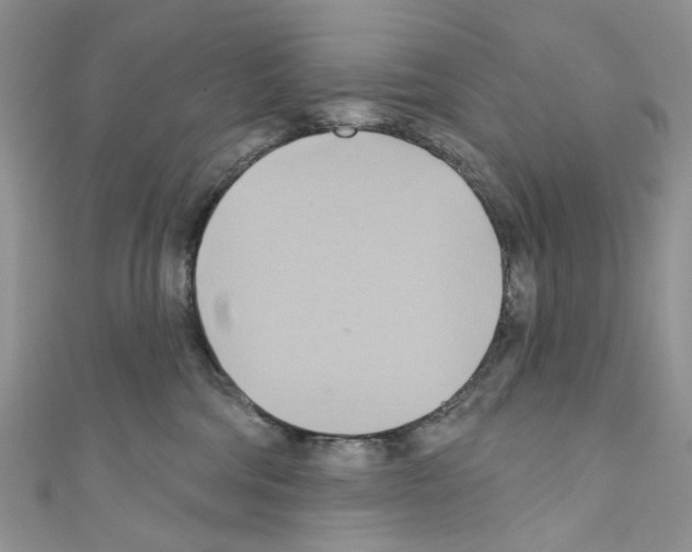 X0000110680330200907241048