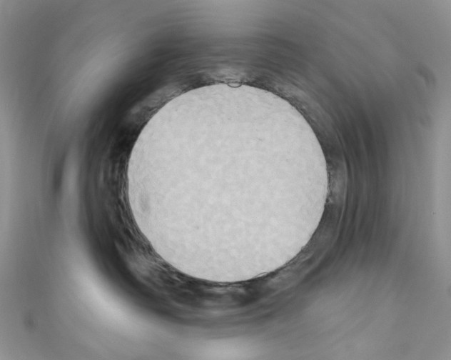 X0000110680334200907241048