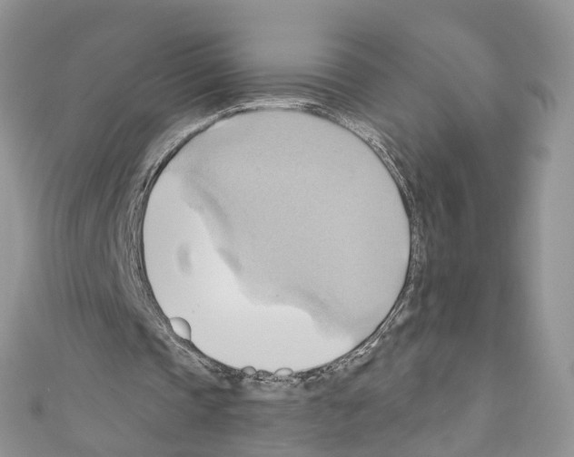 X0000110680337200907241048