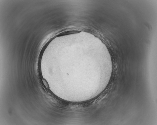 X0000110680340200907241048