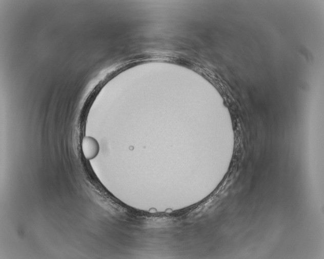 X0000110680342200907241048