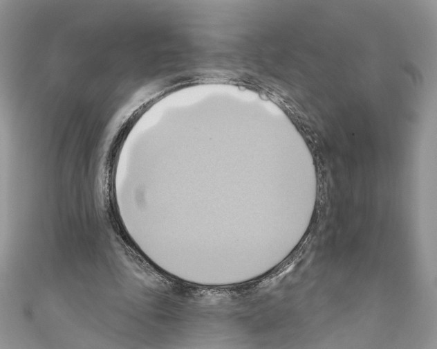 X0000110680343200907241048