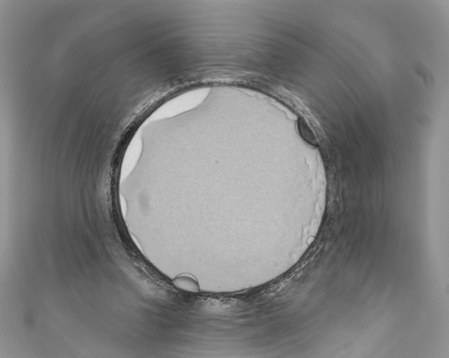 X0000110680346200907241048