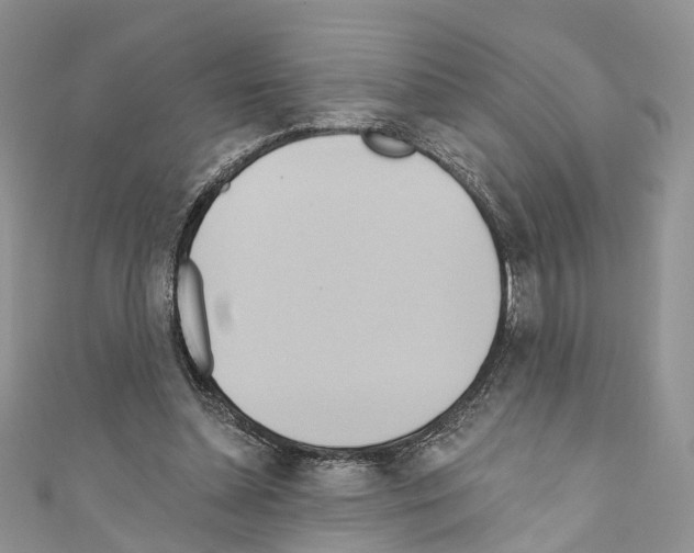 X0000110680348200907241048