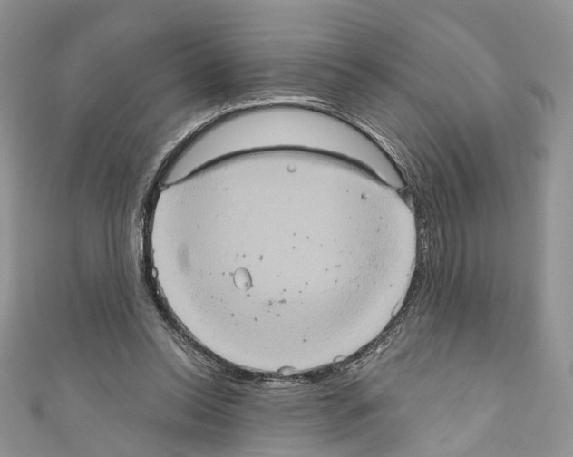 X0000110680350200907241048