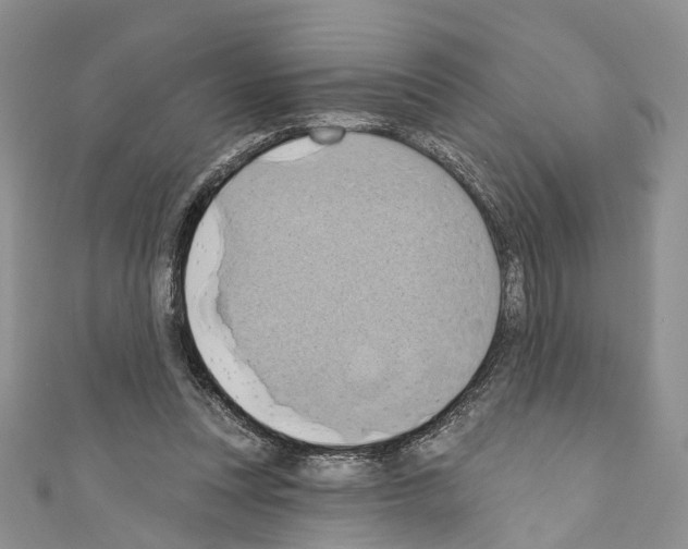 X0000110680351200907241048
