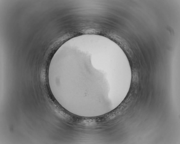 X0000110680353200907241048