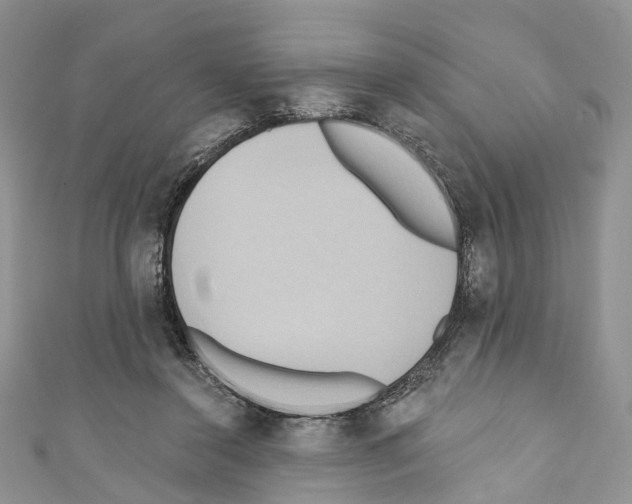 X0000110680356200907241048