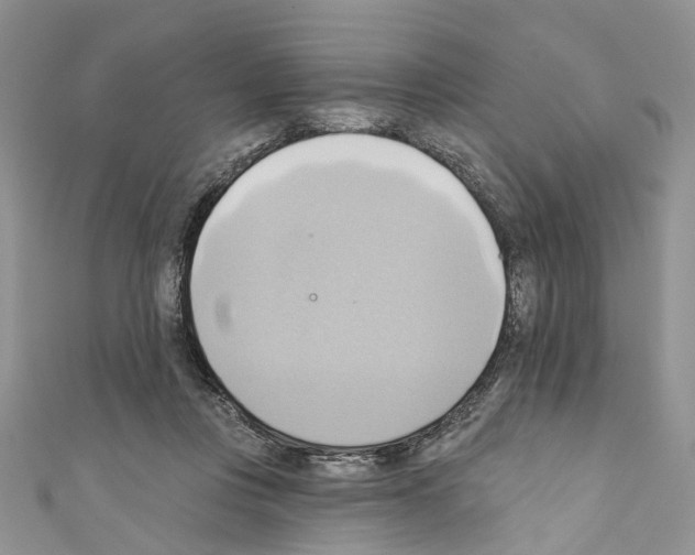 X0000110680359200907241048