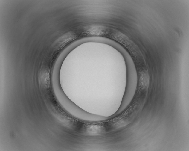 X0000110680360200907241048