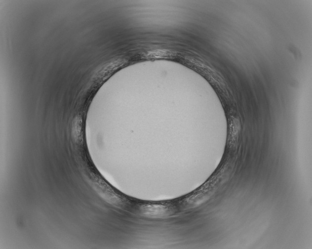 X0000110680361200907241048