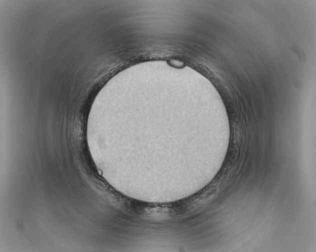 X0000110680362200907241048