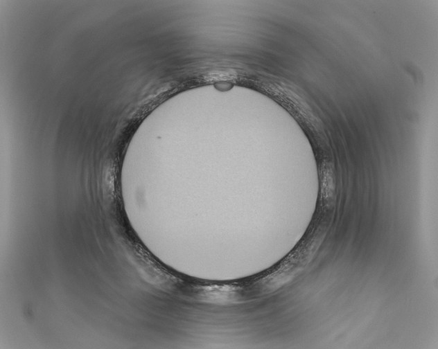 X0000110680363200907241048
