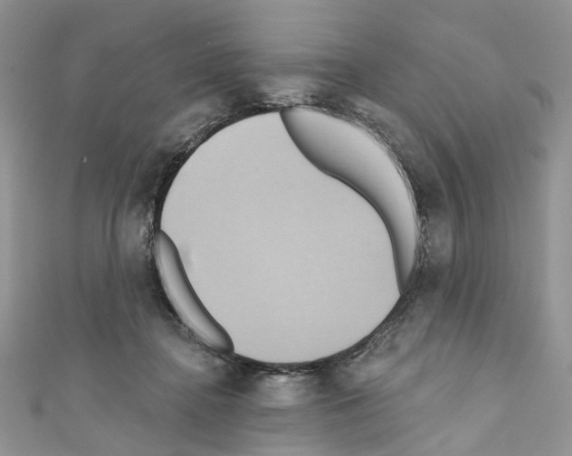X0000110680364200907241048