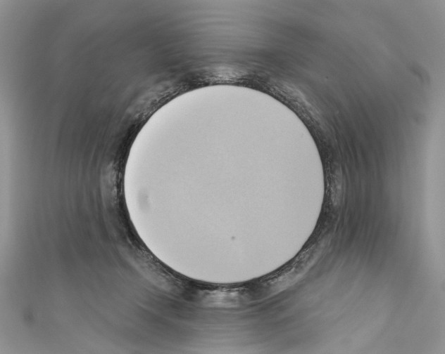 X0000110680366200907241048