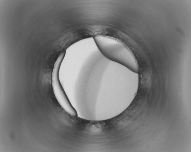 X0000110680368200907241048