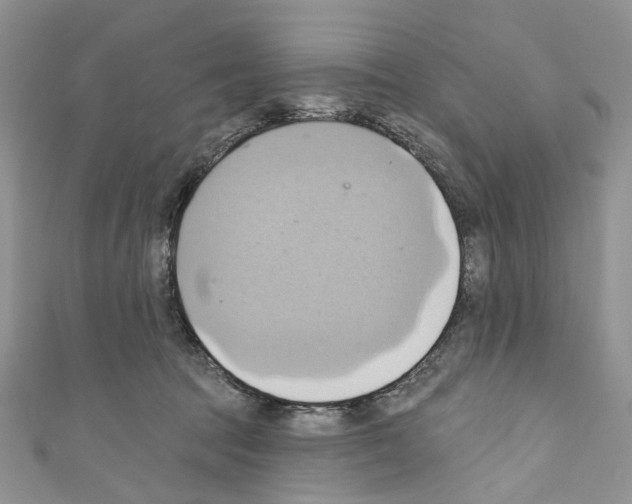 X0000110680369200907241048