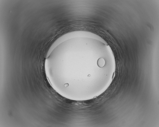 X0000110680372200907241048