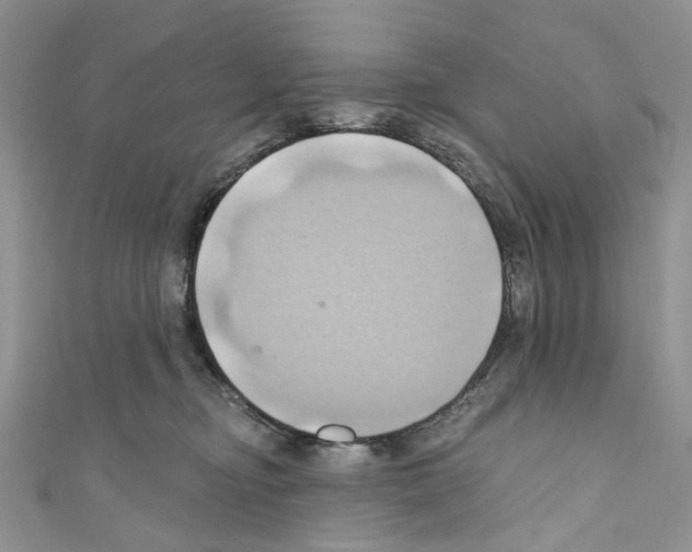 X0000110680374200907241048