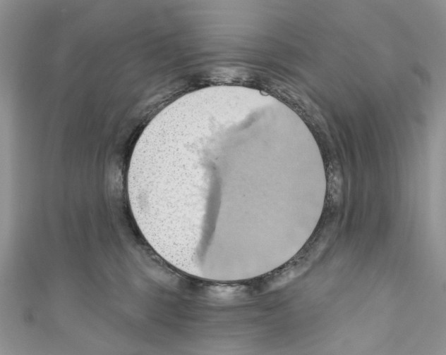 X0000110680375200907241048