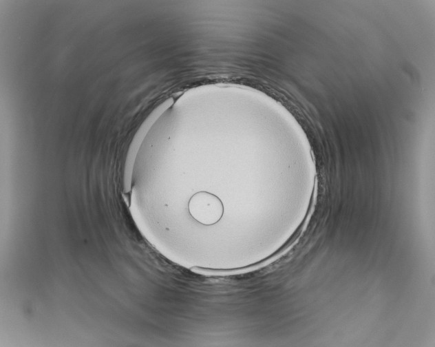 X0000110680376200907241048